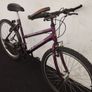 ladies 26inch Image 5