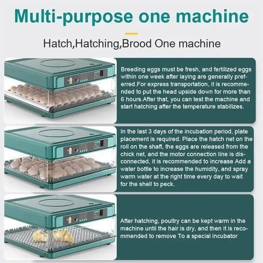 24 Egg Incubator Automatic Temperature Humidity