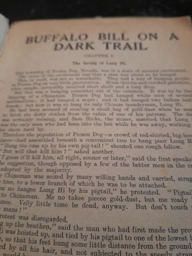 1930 buffalo bill on the dark trail
