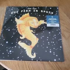 jack irons 2 eps. koi fish in space and dream of luminous blue vinyl