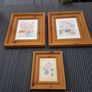 Pictures Image 3