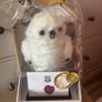 Harry Potter Wizarding World Interactive Hedwig Owl Image 2