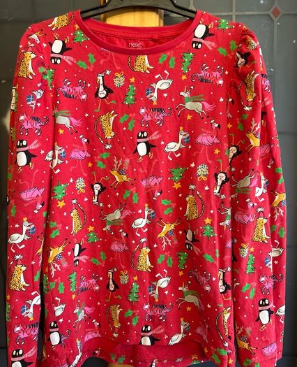 Age 11(10-11) next Xmas top