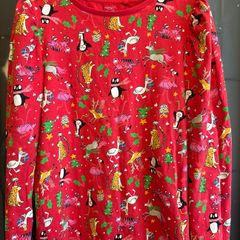 Age 11(10-11) next Xmas top