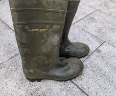 steel toe wellies