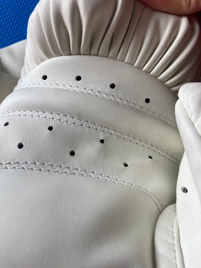 Venum Elite Boxing Gloves - White
