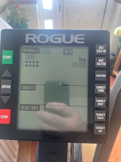 Rogue Echo Bike / Assault Air Bike / Exercise Bike
