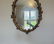 Antique Gilt Framed Mirror