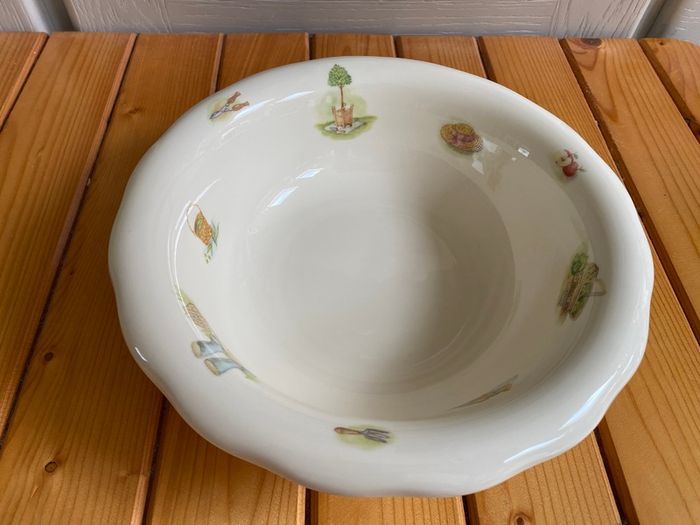 Beautiful Rare Vintage Aynsley Fine Bone China Edwardian kitchen garden - Jug and Wash Bowl