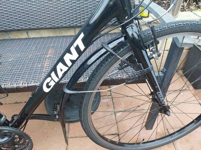 giant  escape hybrid