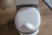 Child training toilet