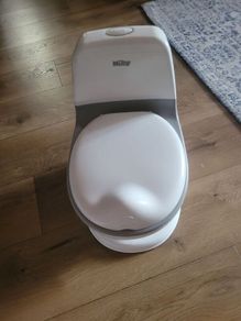 Child training toilet
