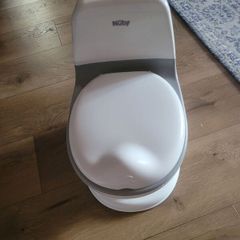 Child training toilet