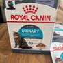 Royal Canin Urinary 16 pouches (in jelly) Image 2