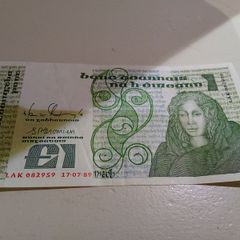 Irish One Pound Banknote