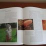 Heritage of Ireland - A History of Ireland and Its People By Nathaniel Harris Image 8