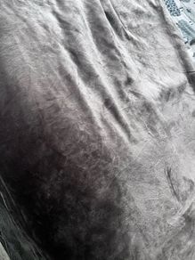 Blanket