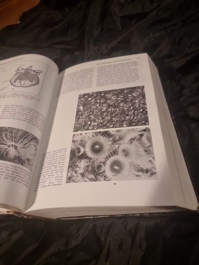 Invertibrate Zoology . 4th edition(Hardcover Illustrated Boards)