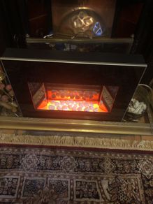 Electric fire