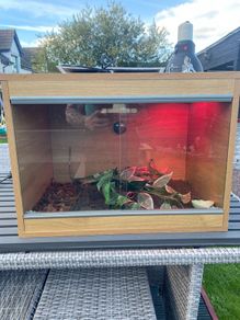 Reptile Vivarium