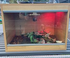 Reptile Vivarium