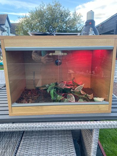 Reptile Vivarium