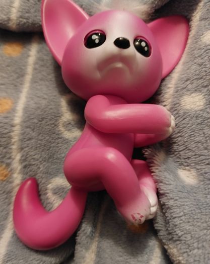 Fingerling ; Kayla 310  (1)