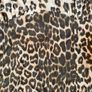 Zara animal print dress xs Image 4
