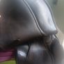 Fabulous Ideal Saddle Image 3