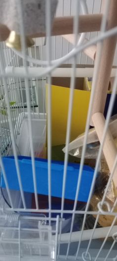 Bird cage with all accessories