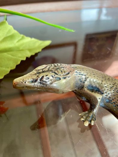 Peerage Brass Lizard Post War 1950s 25 cm