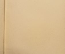Dublin Essays by Arthur Cleary