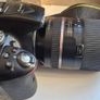 Nikon D5300 with Tamron 16-300mm lens Image 3