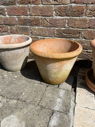 Terracotta Plant Pots