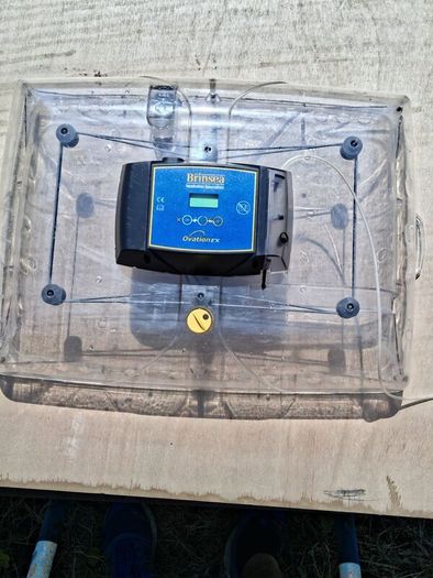 Egg Incubator