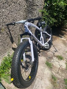 fat bike for sale