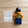 lego cty0806 city jungle explorer, set 60161 Image 2