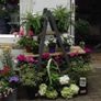 Pair of rare antique vintage ladders Image 3