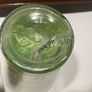 Pixi glow mist 30mls Image 6