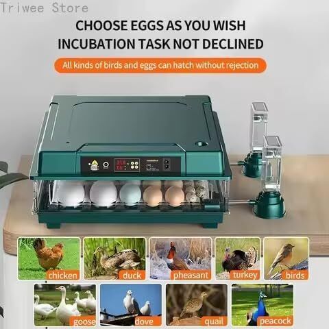 24 Egg Incubator Automatic Temperature Humidity