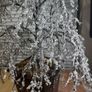 Tabletop Artificial Frostbite Christmas Tree in Wooden Planter. Image 2
