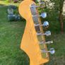 fender Image 6