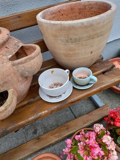 Garden pots  n items clearout
