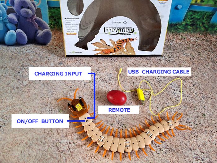 Moving toy Sentipede (Scolopendra Gigantea) (G01)