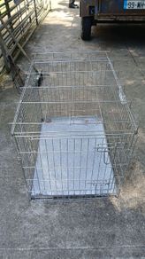 dog cage