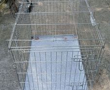 dog cage