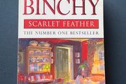 Scarlet Feather - Maeve Binchy