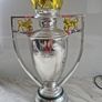 Premier League Trophy Image 3