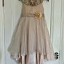 Monsoon Blush Dress Image 4