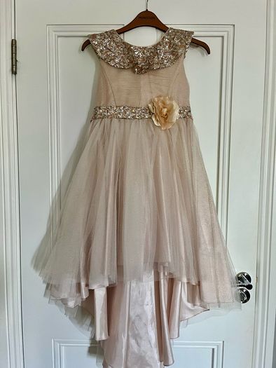 Monsoon Blush Dress